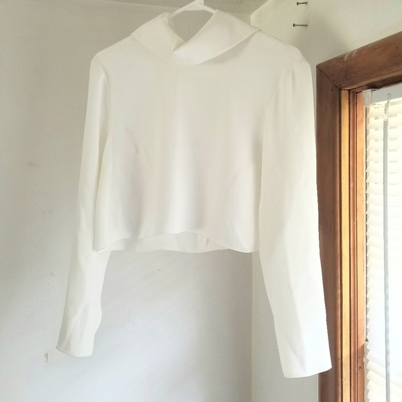 Aritzia Tops - Aritzia Babaton Crop Long Sleeve Blouse